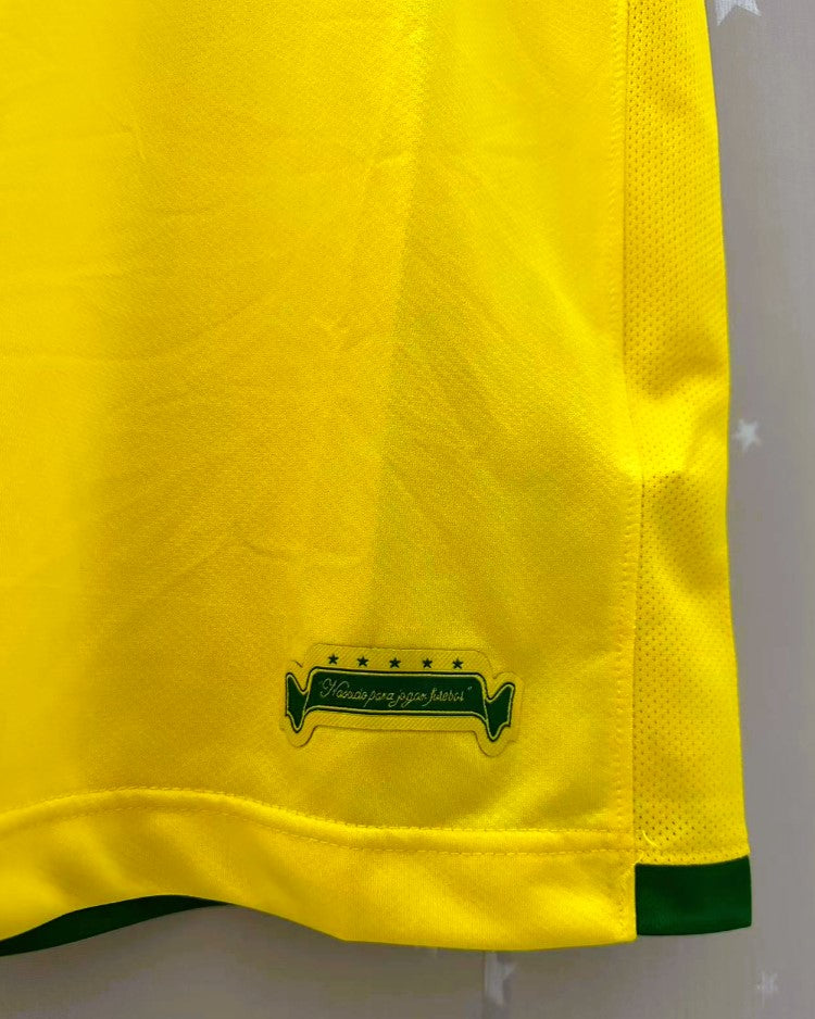 RONALDINHO 2006-07 (Brazil)